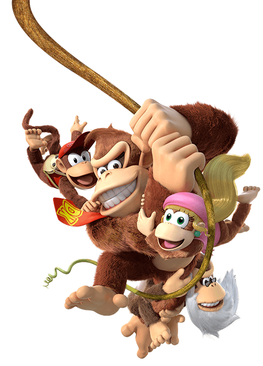 Games/Apps Donkey Kong Country Tropical Freeze 40 (Reg. 50), AC