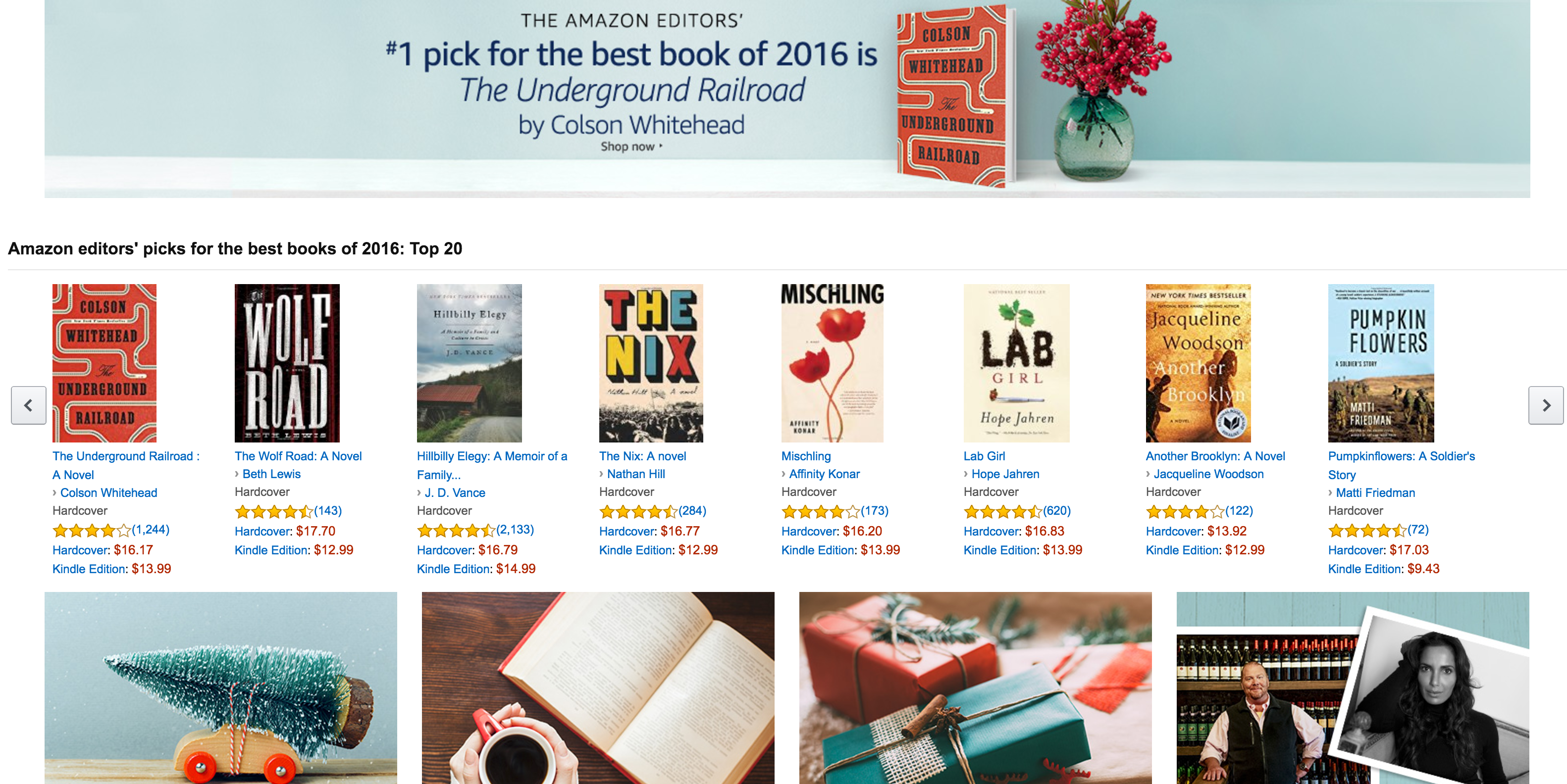 Amazon releases its Top 100 Print/Kindle Books of the Year + Holiday