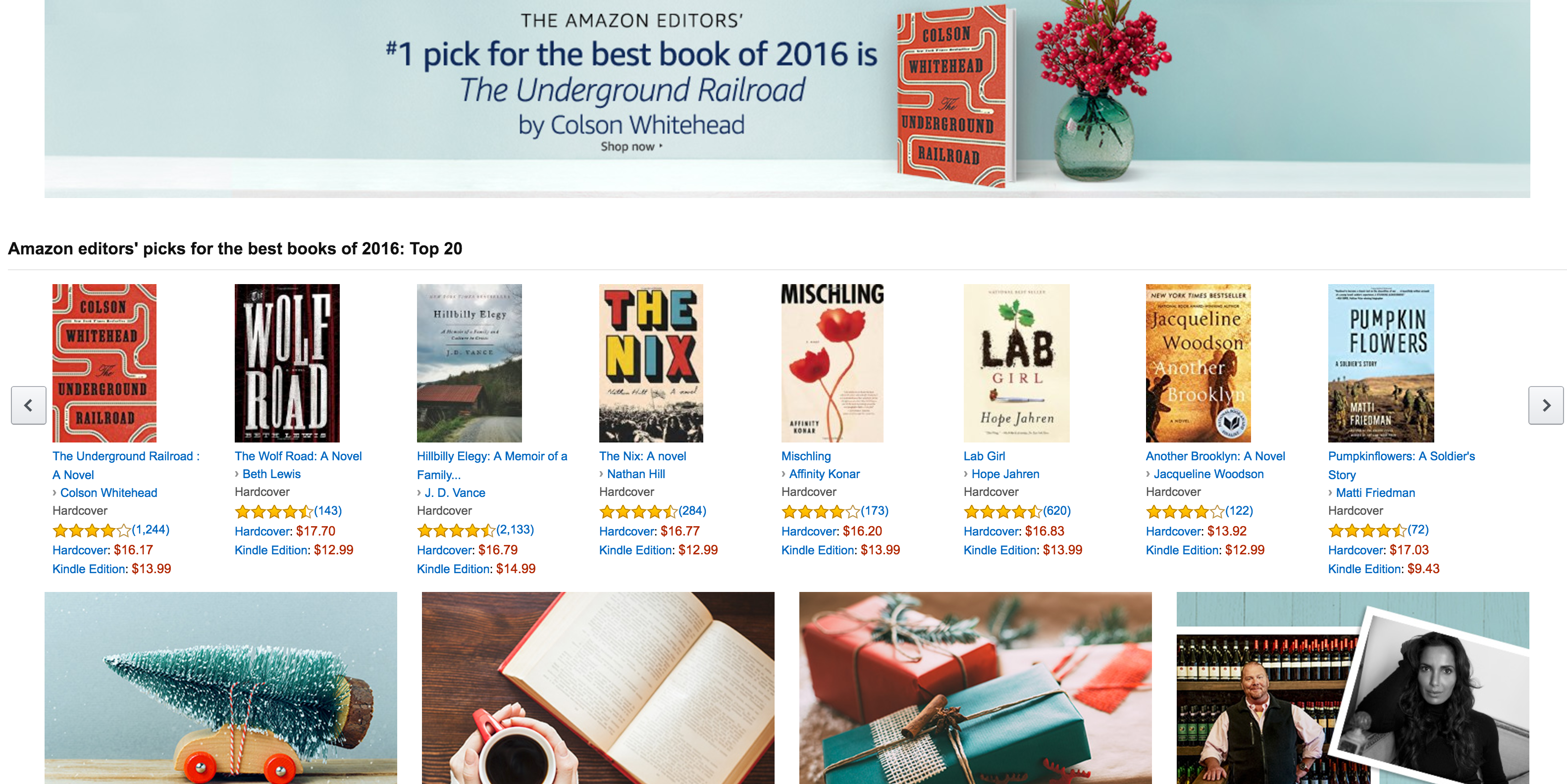 Amazon releases its Top 100 Print/Kindle Books of the Year ...