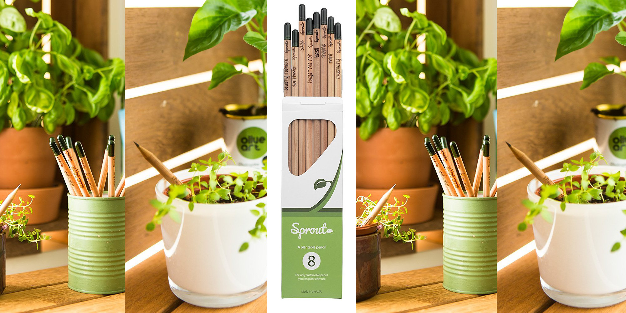 sprout-pencil-herb-pack-2