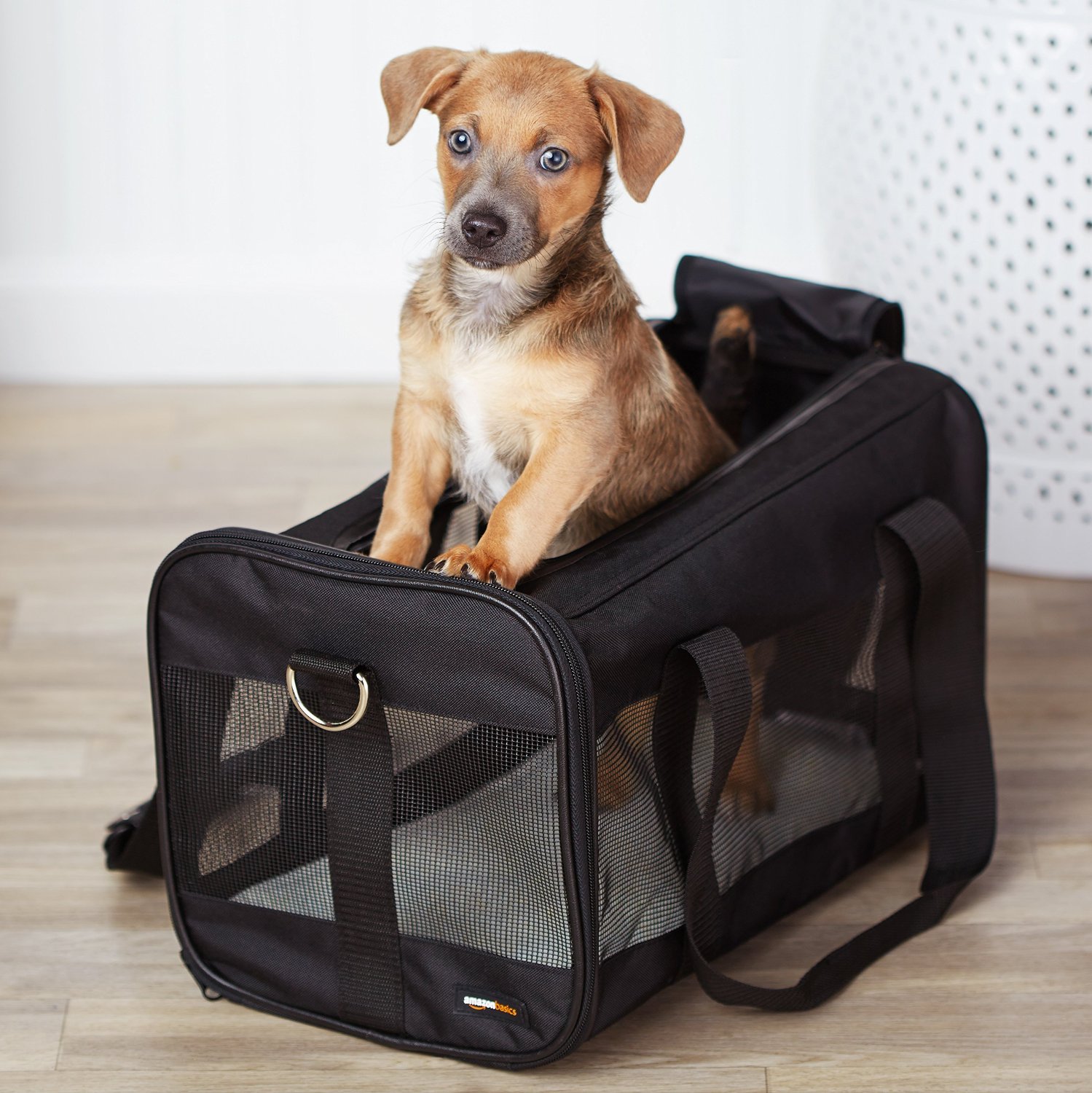 The AmazonBasics SoftSided Pet Travel Carrier just hit its alltime