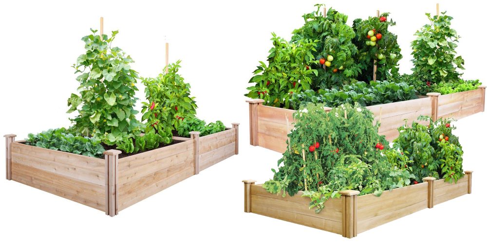 greenes-raised-garden-beds