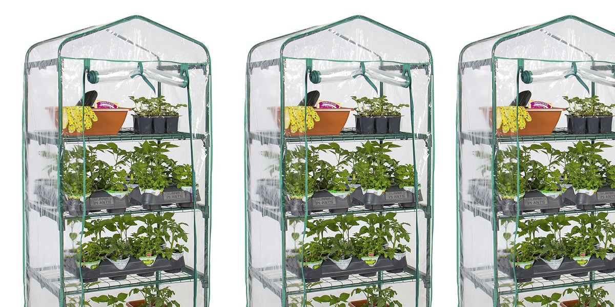 Set Up Your Very Own 4 Tier Mini Greenhouse For Under 25 Prime Shipped 9to5toys