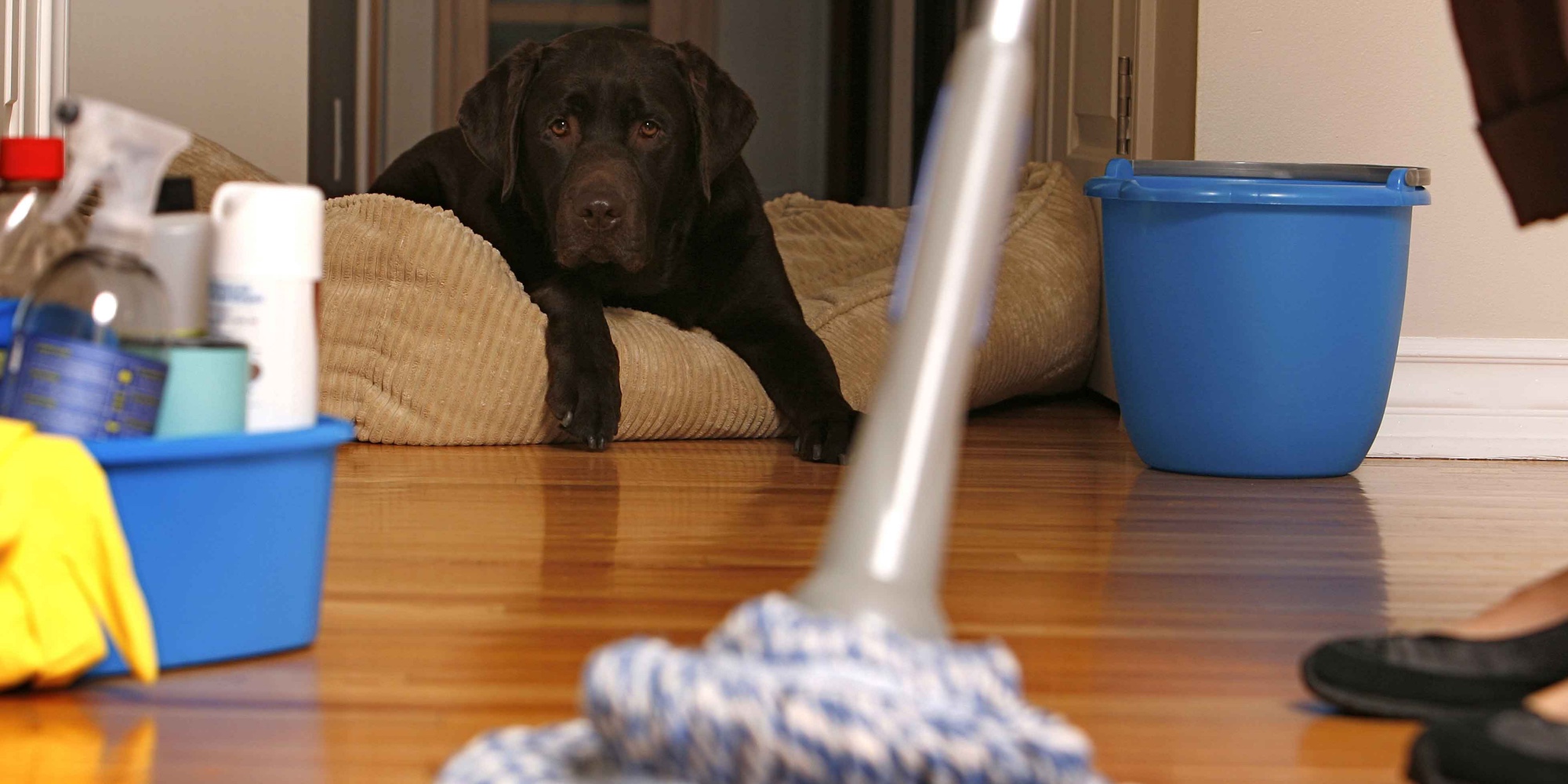 Save 30 on your next Amazon Cleaning Services appointment before the