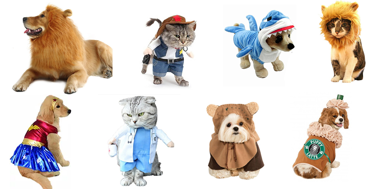 Best Halloween costumes for your furry friends from just $6