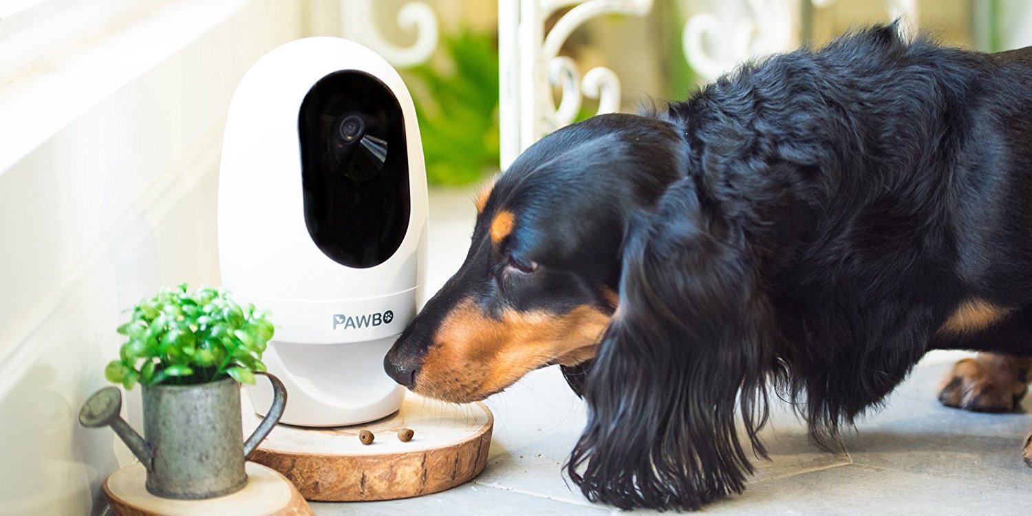 Умный дом для собак. Monitoring System for Pets. Pet Camera. Видеонаблюдение за животными. P p pet