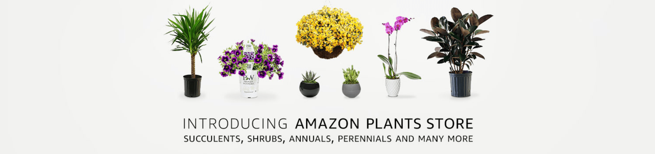 Amazon is expanding once again, new Plants Store open with deals from 9