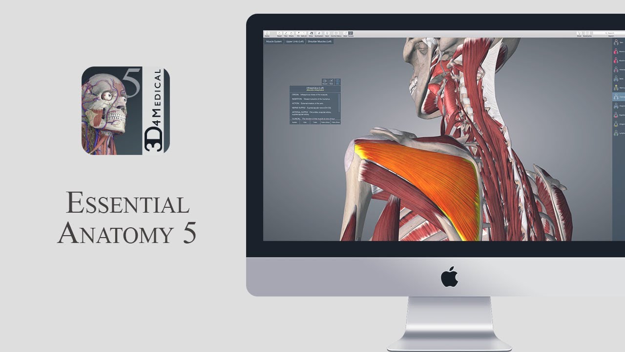 apple essential anatomy app
