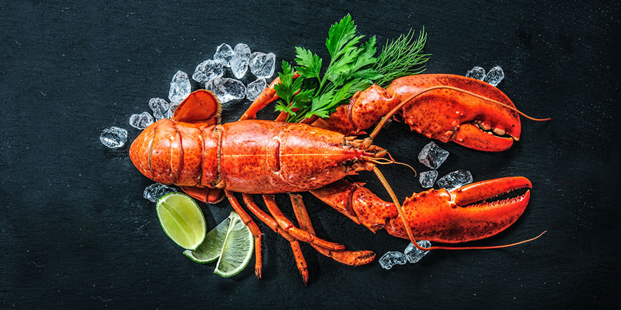 Get Maine Lobsters delivered to your door for only $90 - 9to5Toys