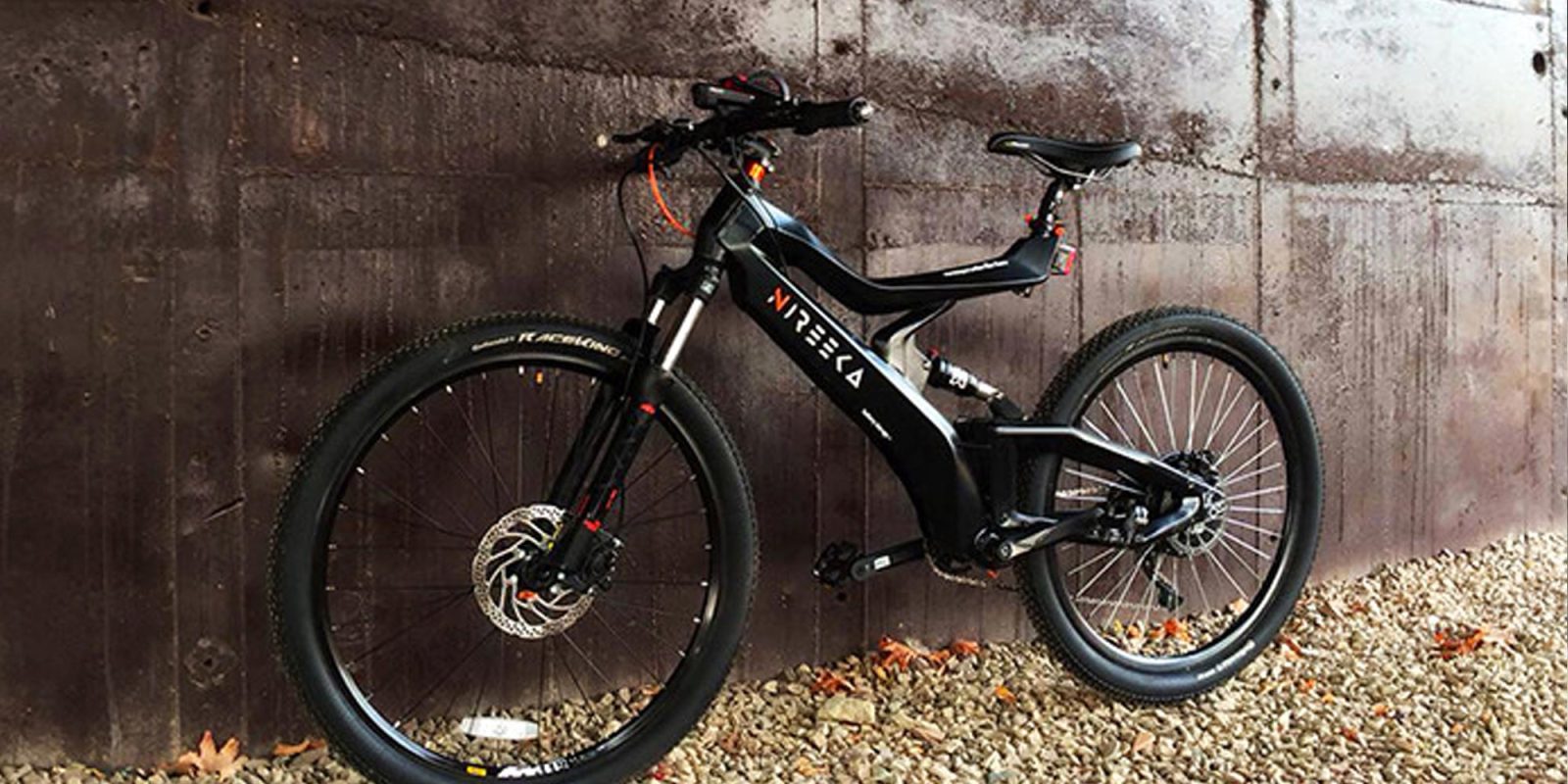 nireeka ebike review