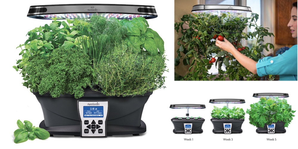 Keep the herbs coming all year long with Amazon's choice of LED