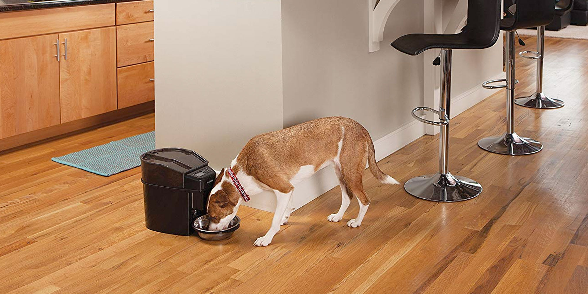 Amazon has the PetSafe Automatic Dog/Cat Feeder on sale for $93 shipped