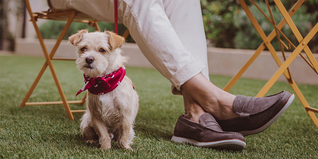 dog boat booties