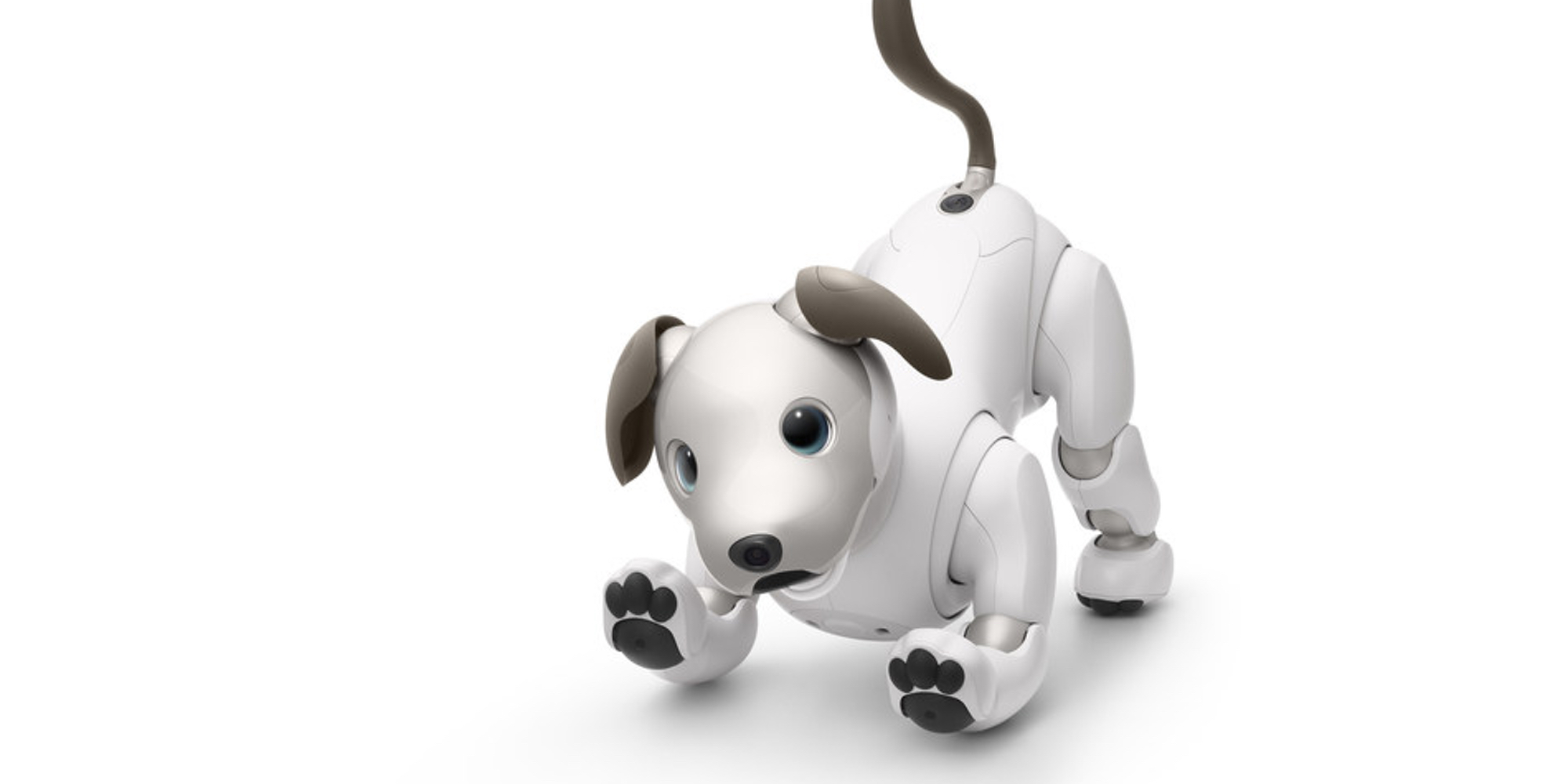 Sony brings its adorable robotic dog Aibo stateside with an expensive