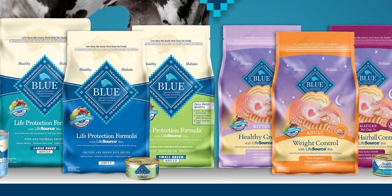 Amazon's Gold Box has Blue Buffalo Dog Food from 22 Prime shipped