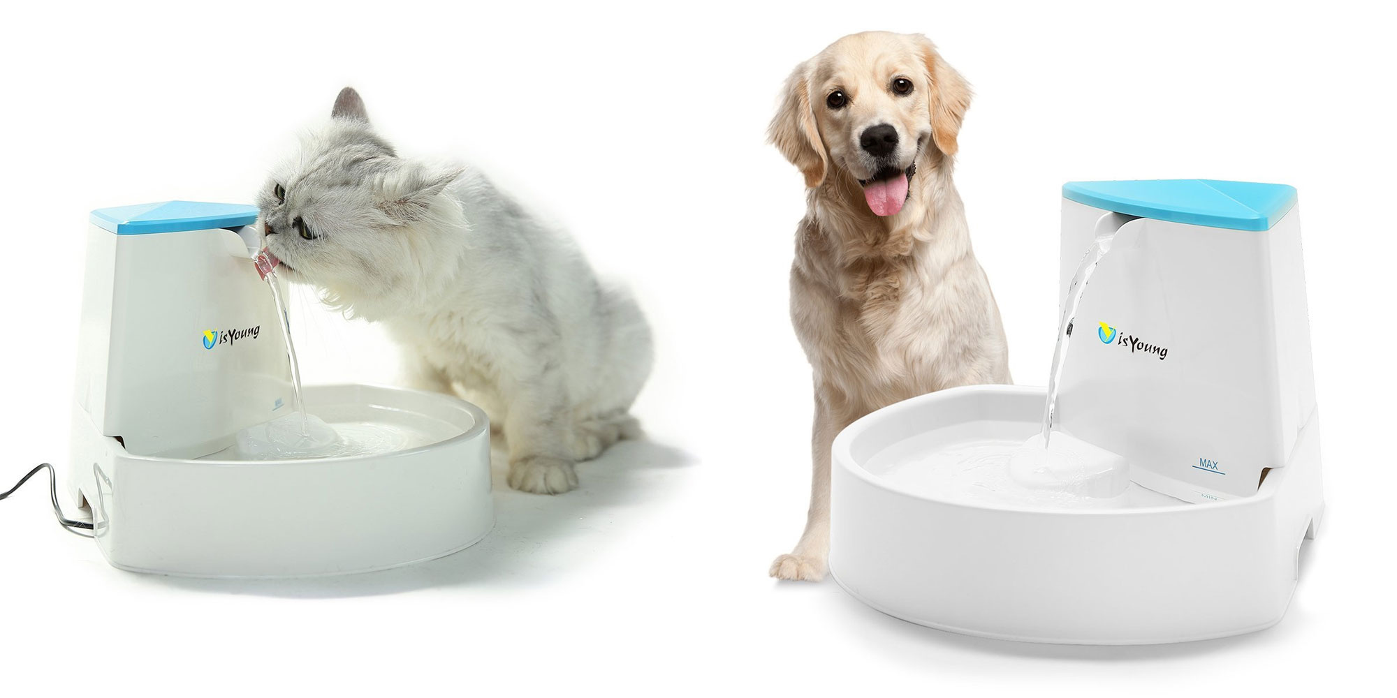 isyoung pet fountain