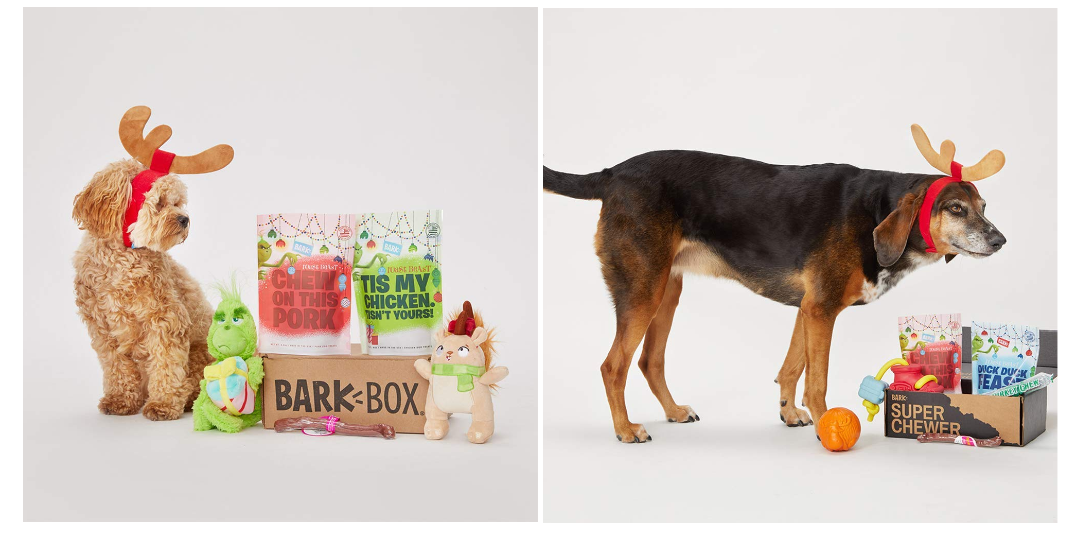 Amazon's Gold Box is for the dogs Barkbox Ltd. Ed. Gift Boxes 24.50