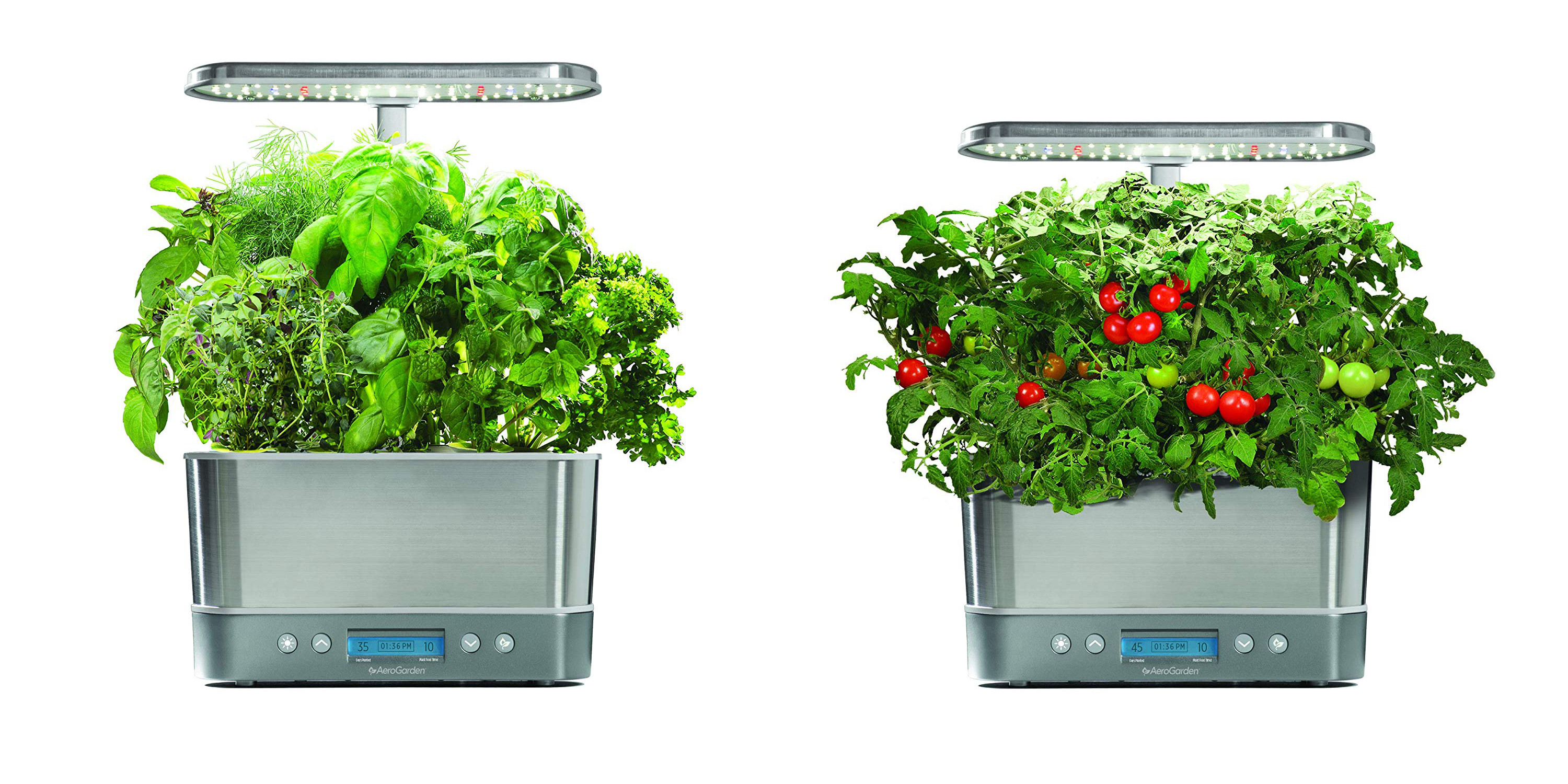 Stainless steel AeroGarden Harvest Elite hits Amazon low at 90, today