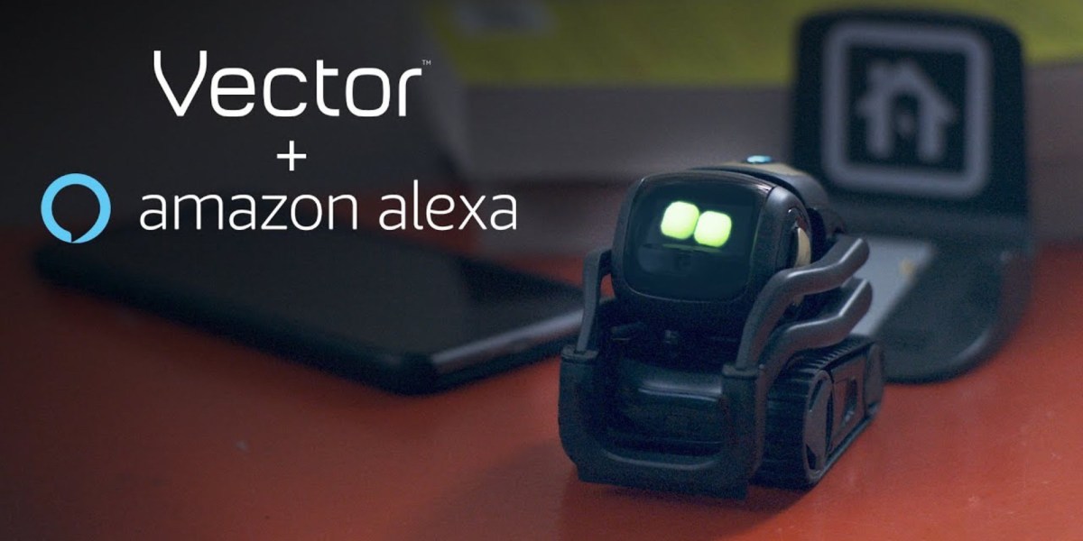 Alexa robot