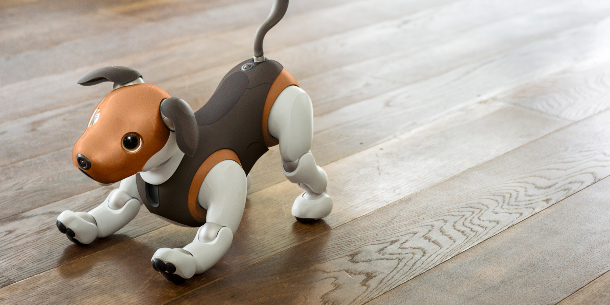 Sony unveils new beagleinspired Aibo robotic dog 9to5Toys
