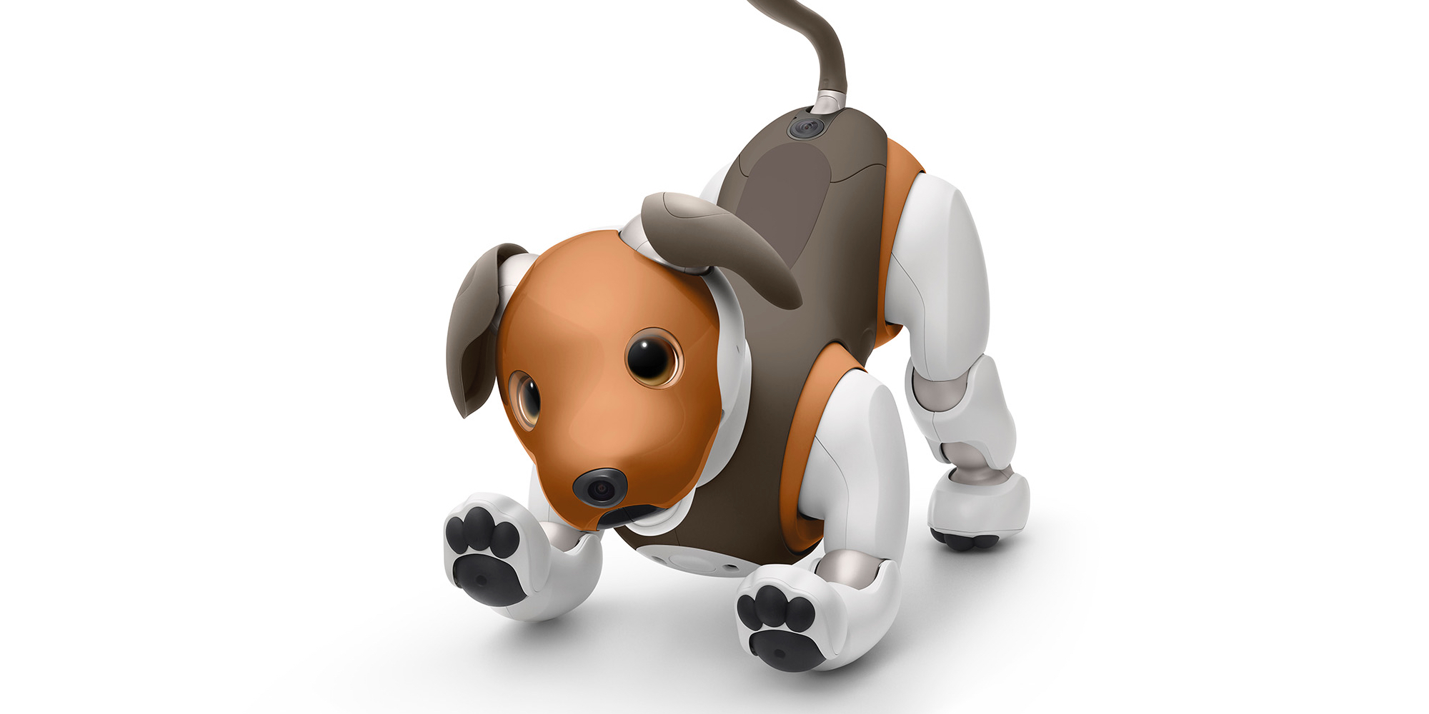 Sony unveils new beagleinspired Aibo robotic dog 9to5Toys