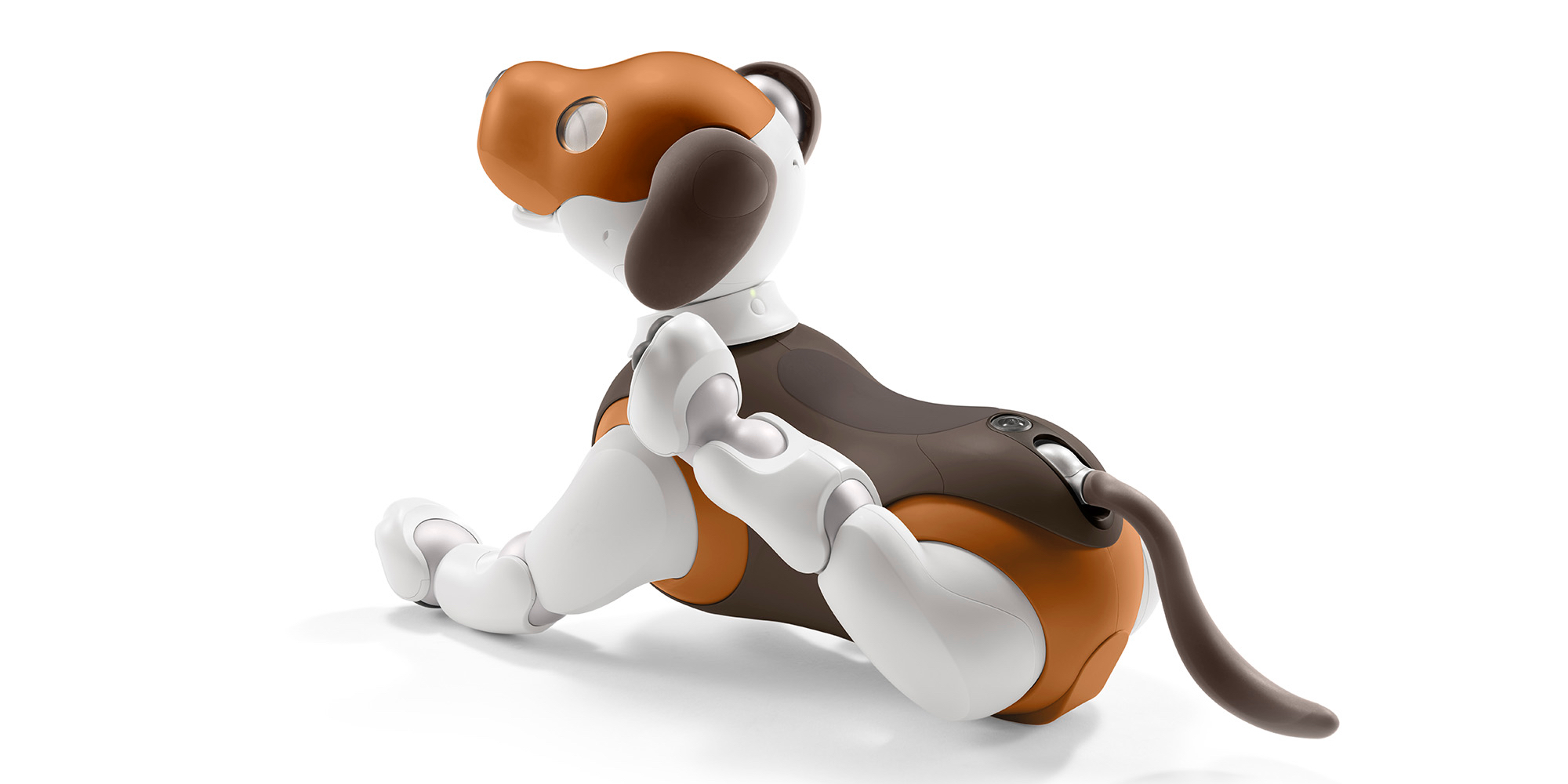 cane robot aibo