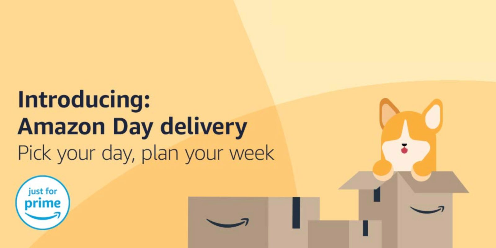 Amazon Day offers custom deliveries for Prime members 9to5Toys