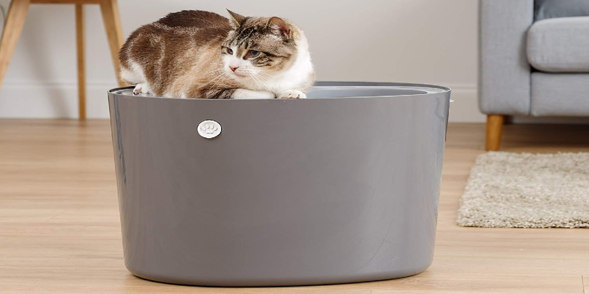 This topentry litter box will leave your space tidier at 15 (Reg. 30) + more supplies from 4