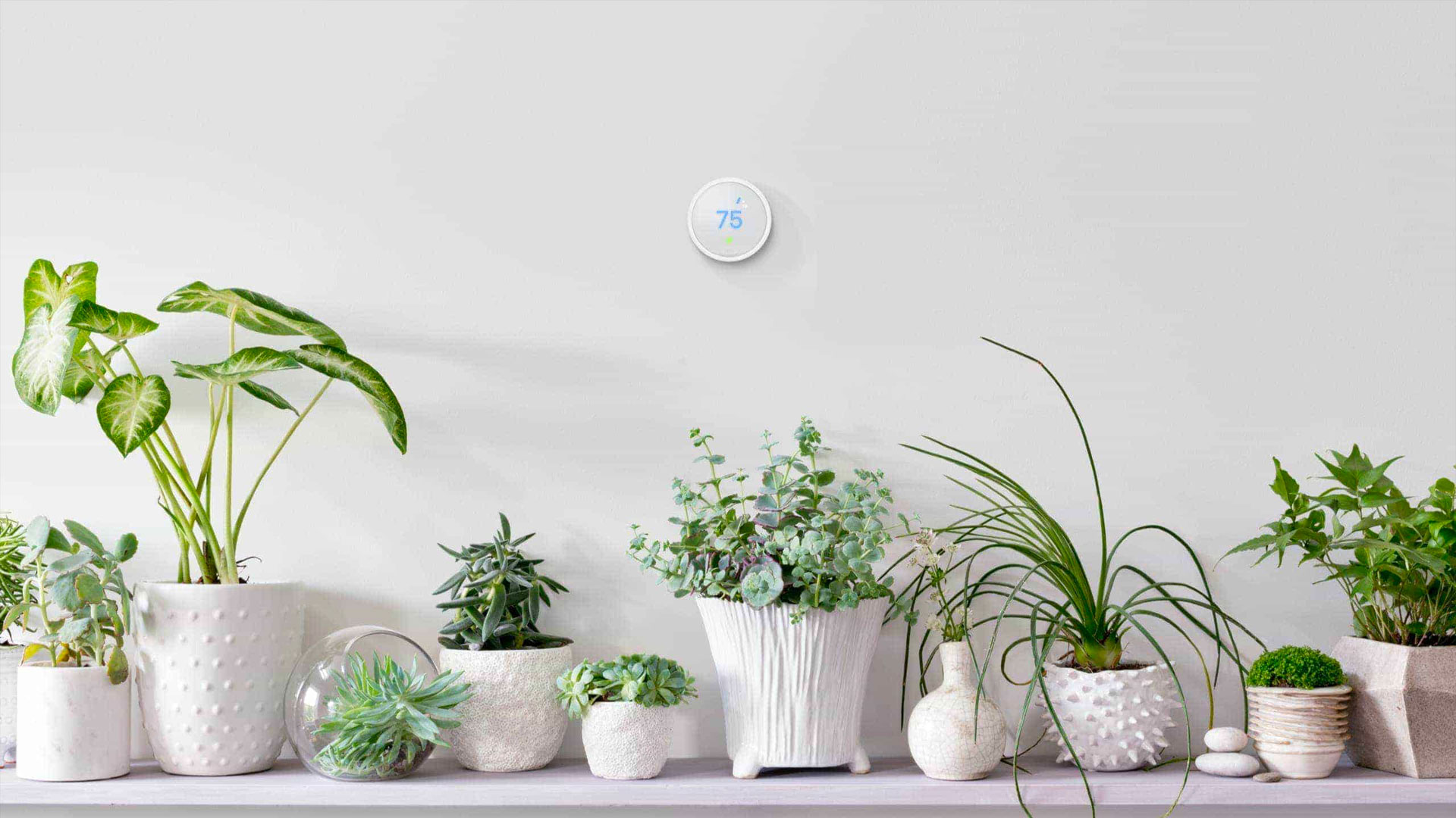 nest thermostat bundle