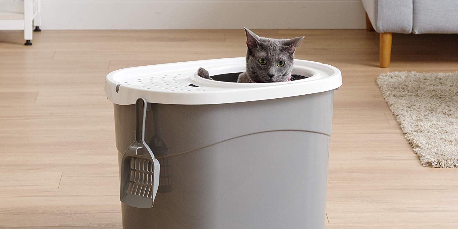 Keep the litter in the box with this IRIS TopEntry model 13.50 (Reg