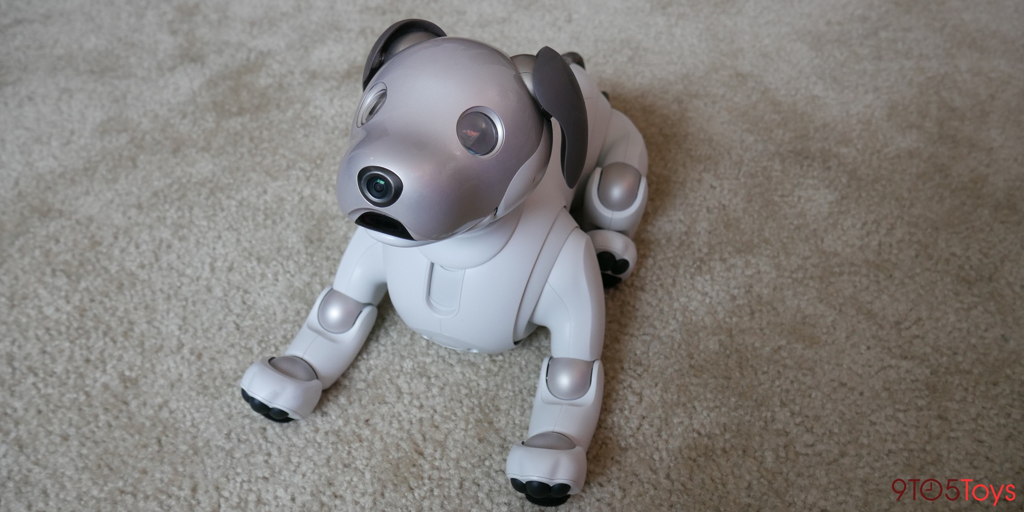 Sony aibo review: a look into the future of home robotics - 9to5Toys