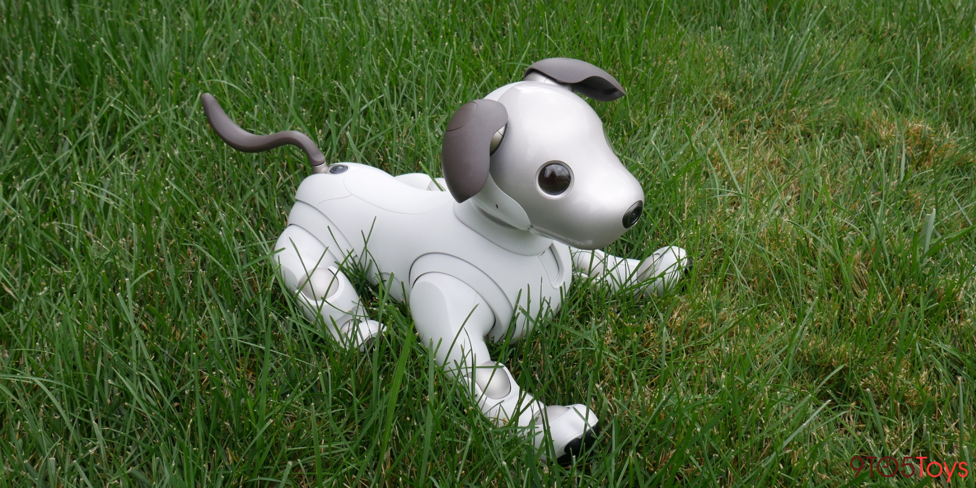 Sony aibo review a look into the future of home robotics 9to5Toys