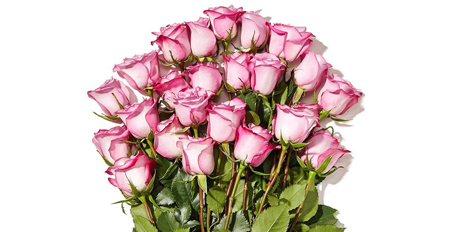 Order 24 roses w/ 2hr. delivery for 20 at Amazon (Select accounts
