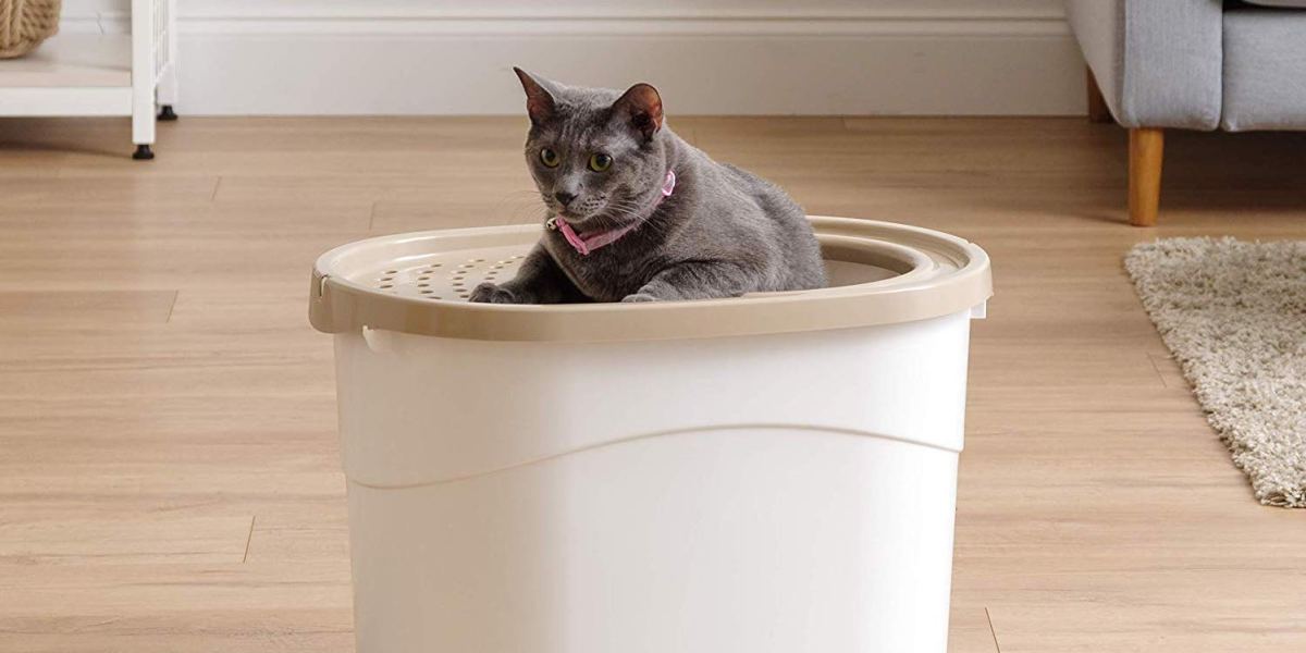 Get your kitty the IRIS Top Entry Litter Box he deserves at 14 (Reg. 19+)