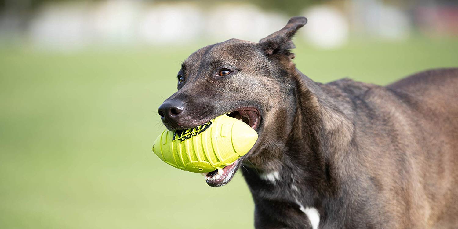 nerf rubber football