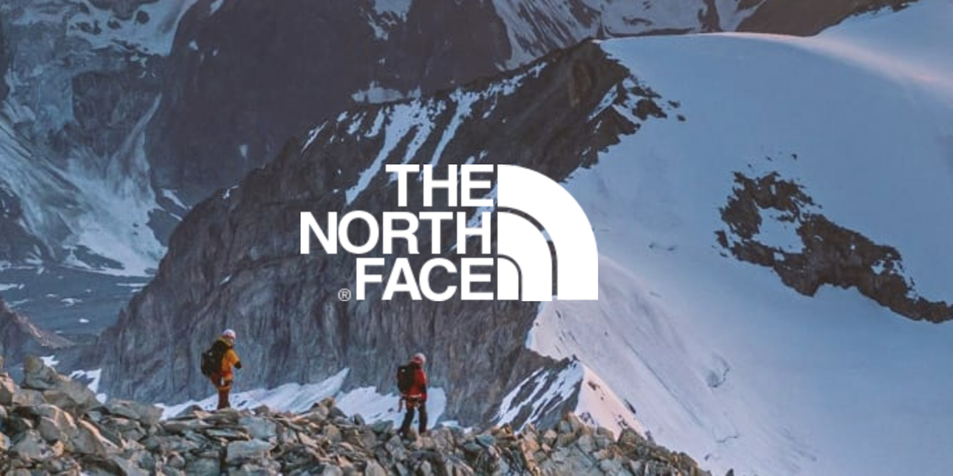 Download wallpapers The North Face logo red background The North Face 3d  logo 3d art The North Face brands logo red 3d The North Face logo for  desktop with resolution 2560x1600 High