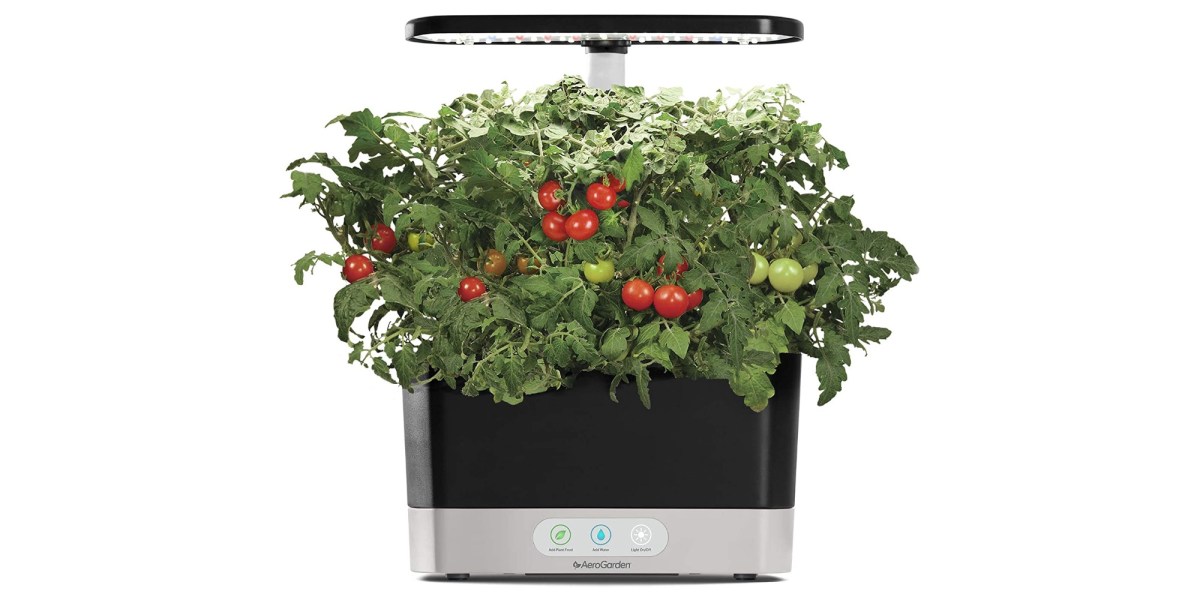 Making Salsa With Fresh Tomatoes From The Aerogarden Salsa Kit