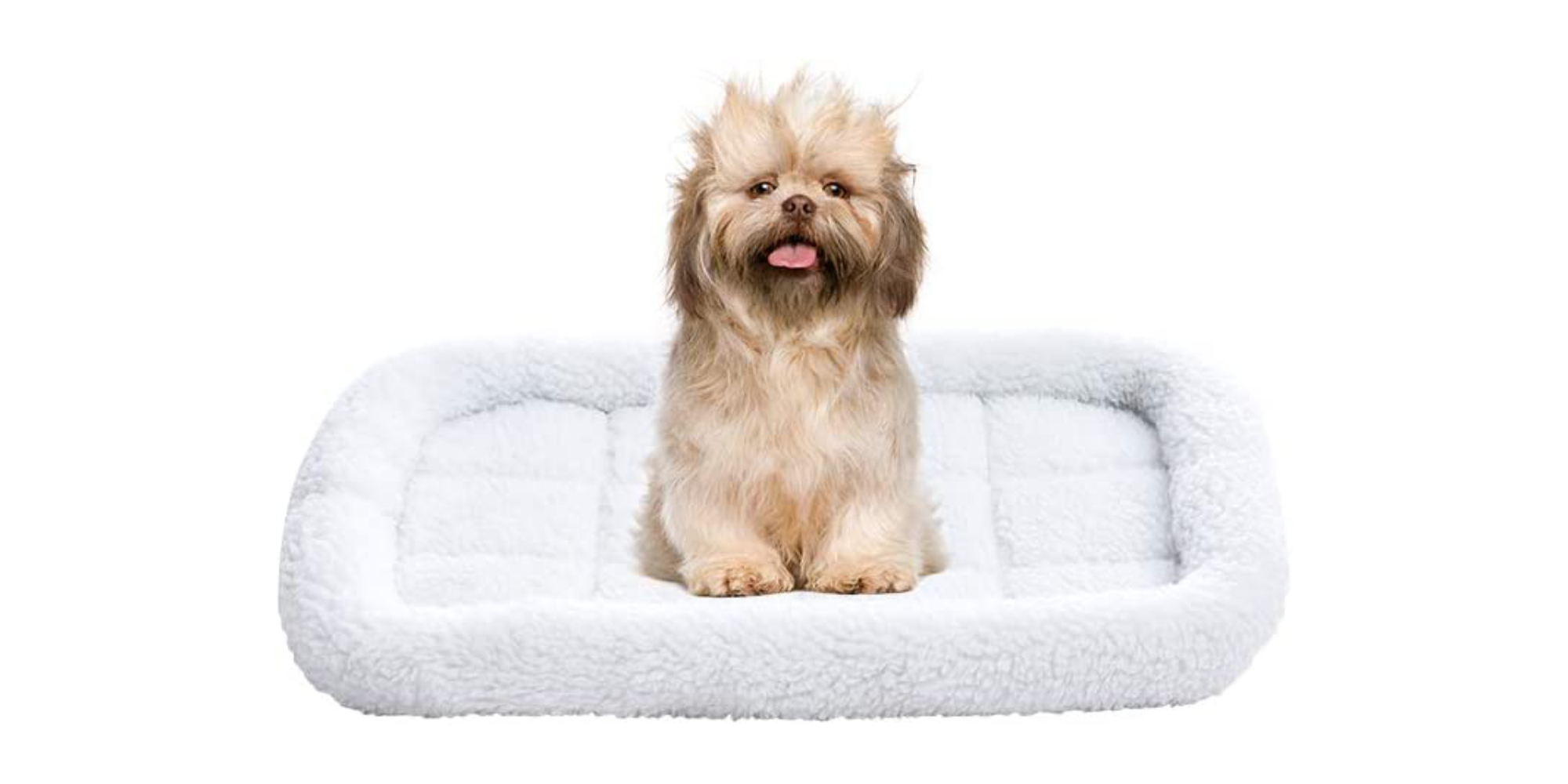 amazonbasics padded pet bolster bed