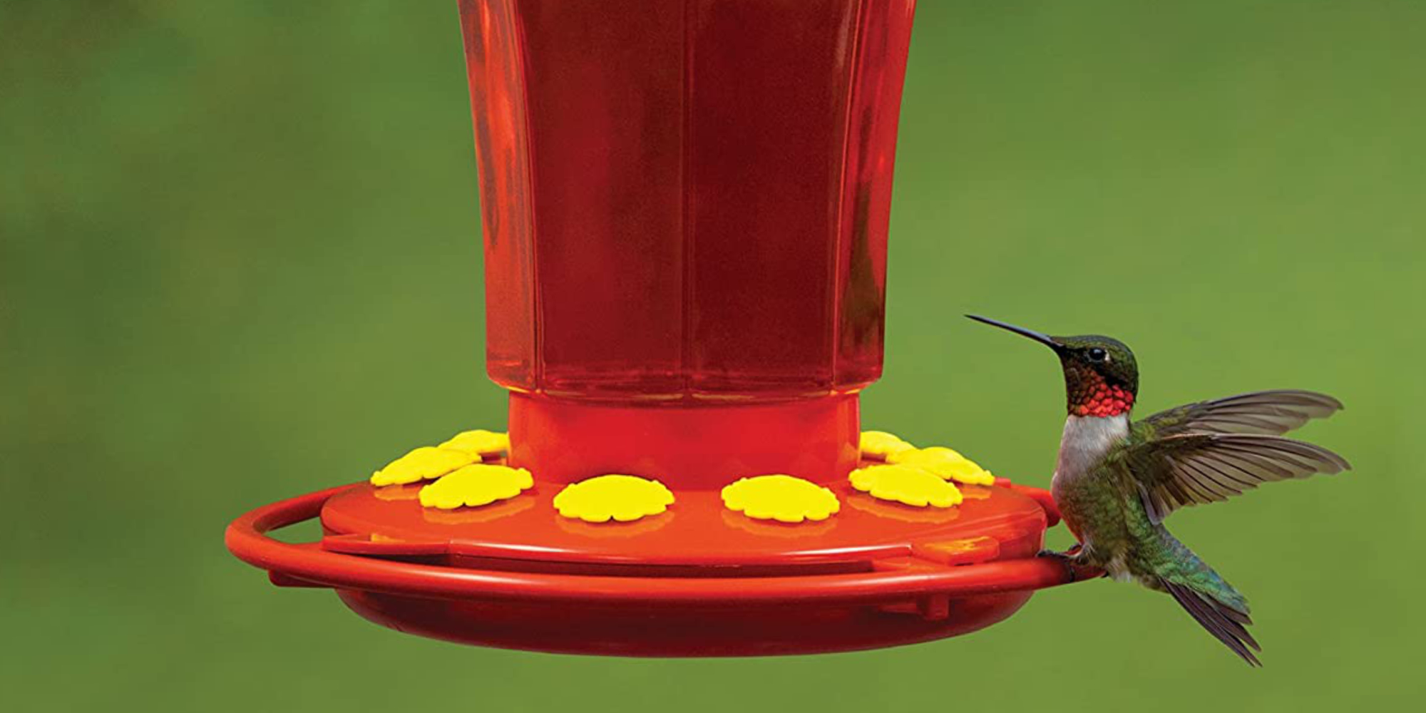 at-6-first-nature-s-hummingbird-feeder-is-a-steal-reg-up-to-40