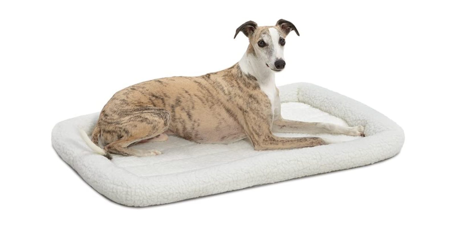 Amazon slashes over 75 off the MidWest Bolster Pet Bed, now 4 Prime