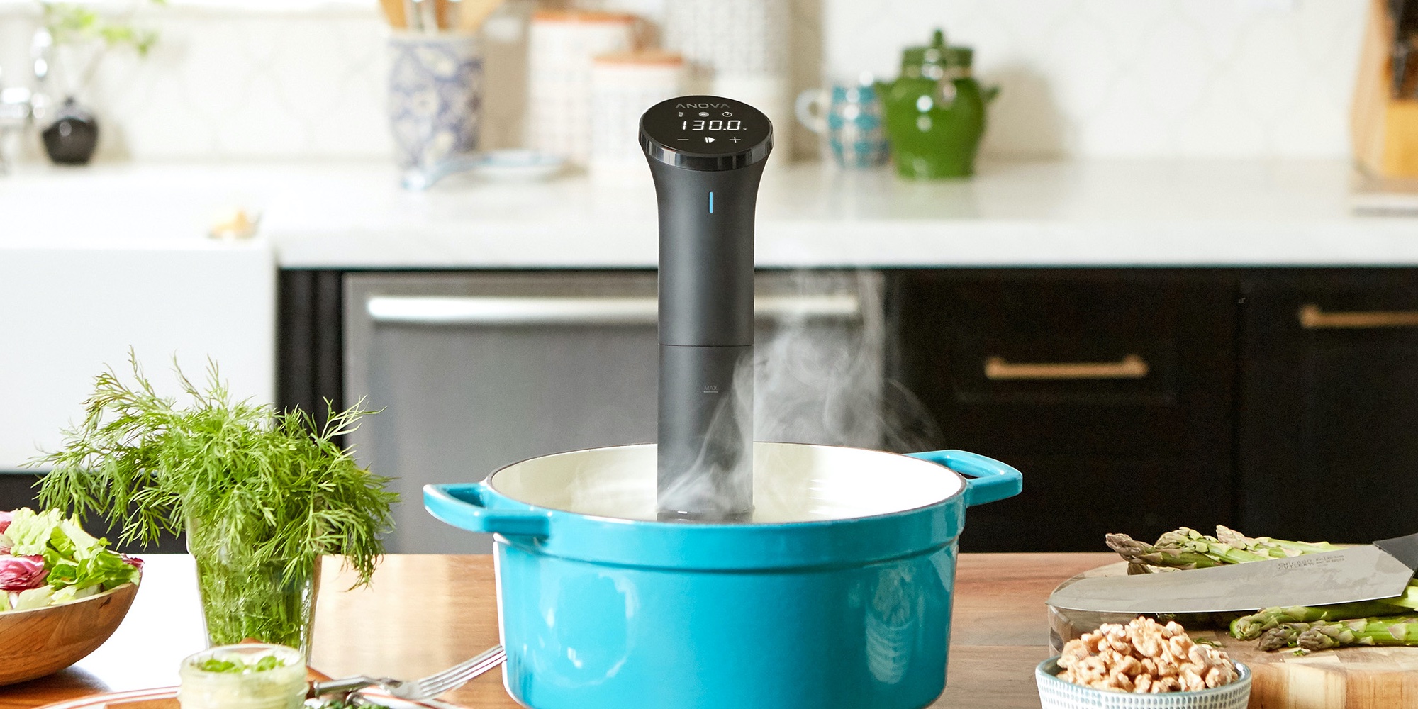 Anova's Bluetooth-enabled Nano Sous Vide Cooker matching 2021 low