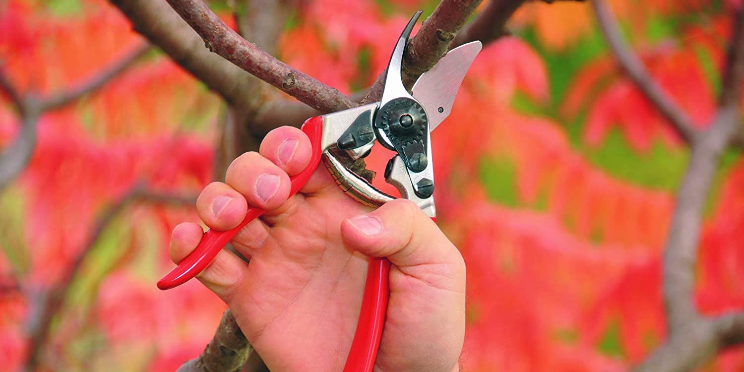 Felco's made in Switzerland Ergonomic Bypass Pruner is now 30 (Reg