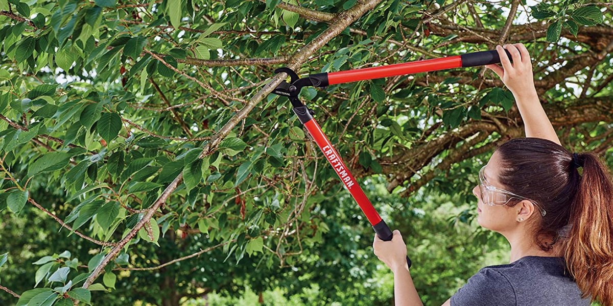 Craftsman Bypass Lopper and Hedge Shears are 30% off, now priced from $20