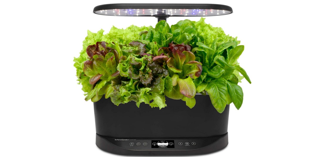 Grow your own salad, herbs, fruits, or veggies with