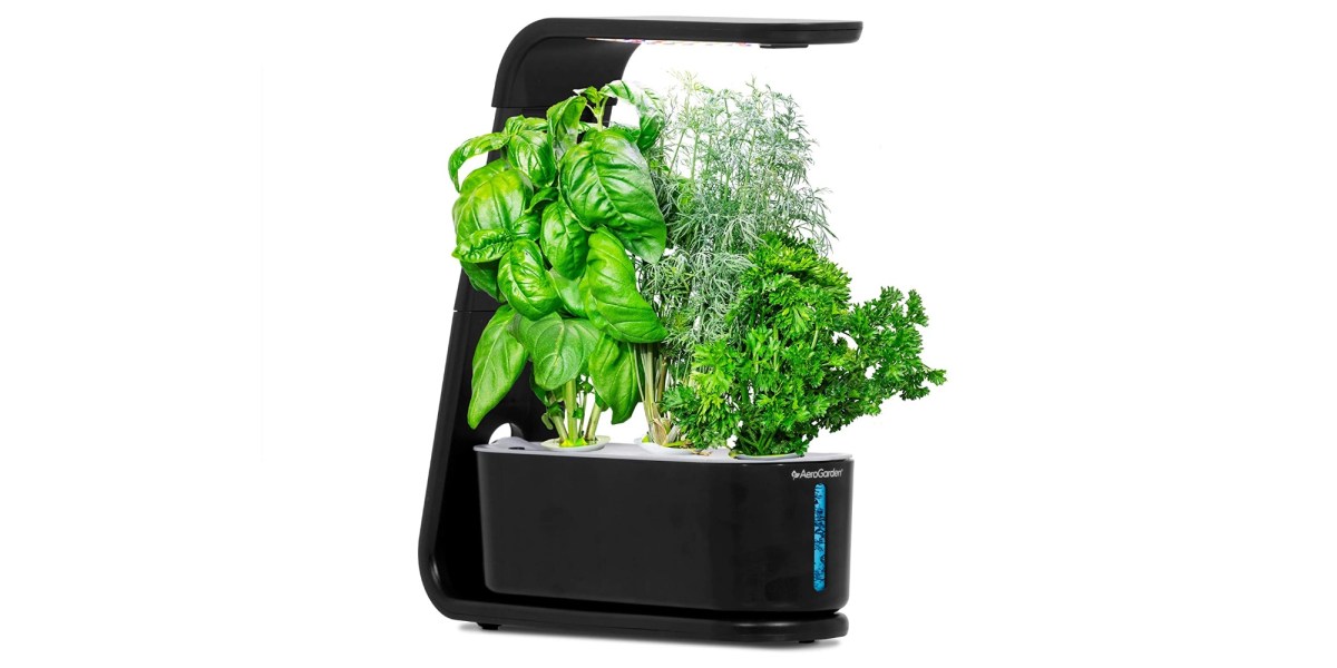 AeroGarden Sprout grows three plants up to 10-inches tall indoors for
