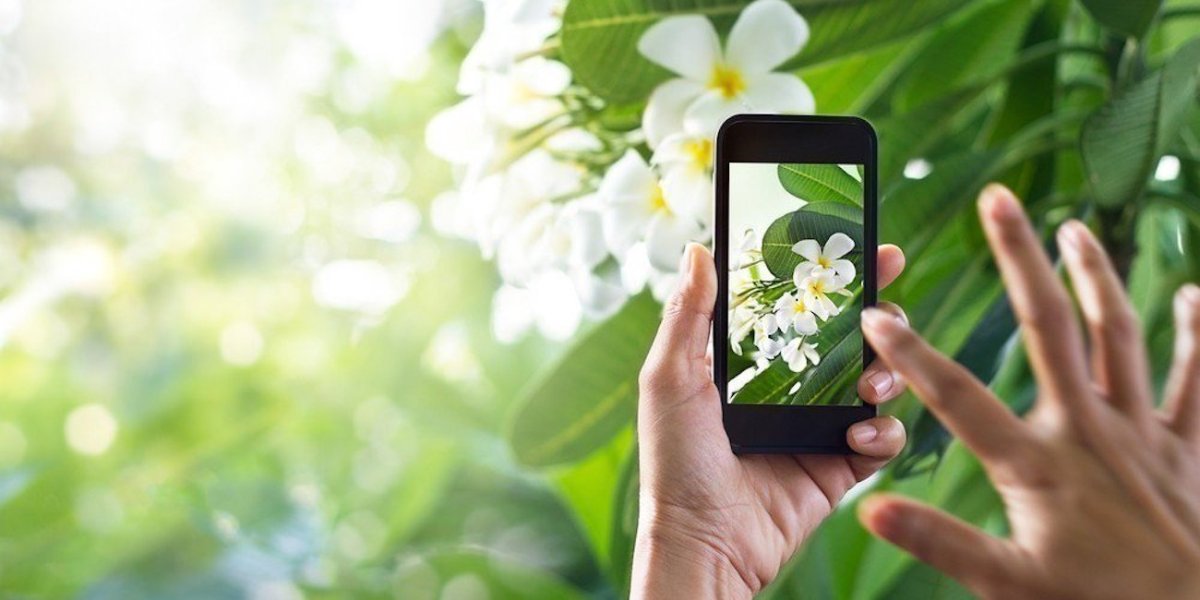 PlantSnap Pro with augmented reality now $15 (Reg. $25) - 9to5Toys