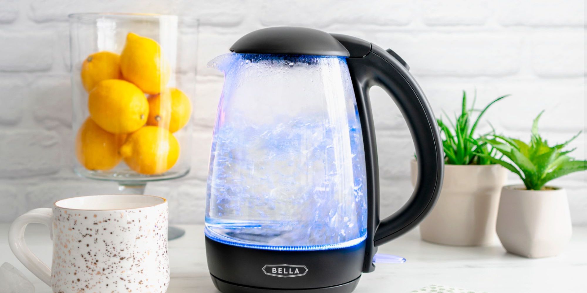 bella basics electric kettle