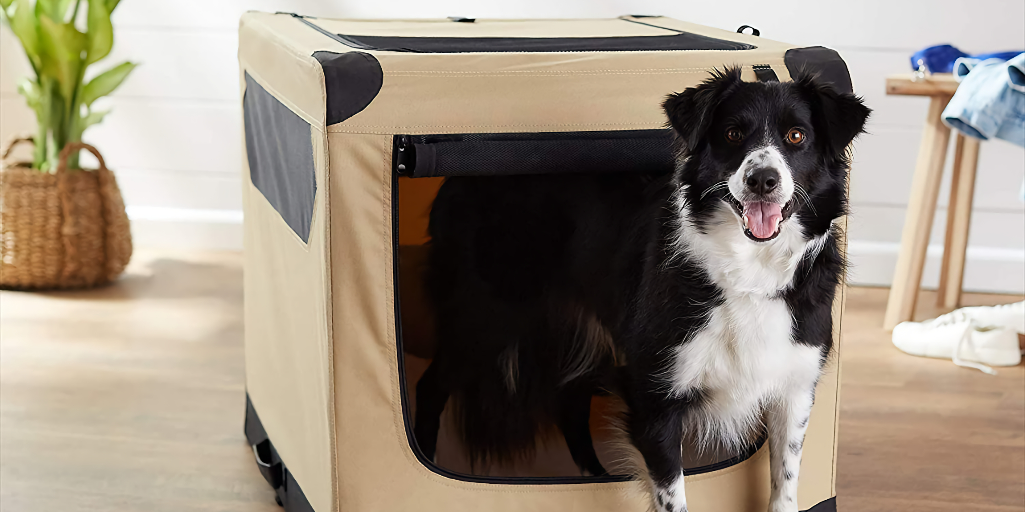 Travel with your dog using Amazon's Portable Kennel, now 47.50 (All