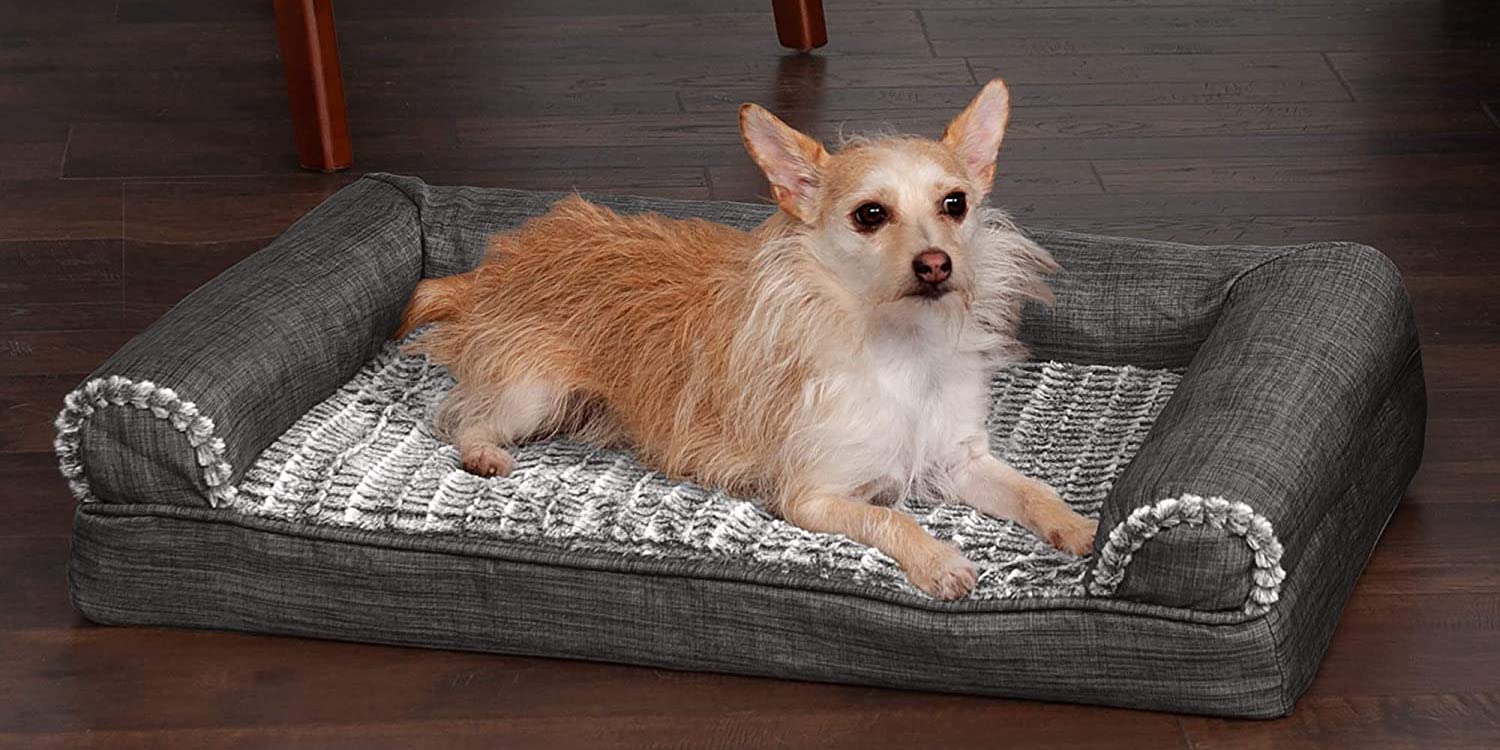 Furhaven orthopedic shop pet bed