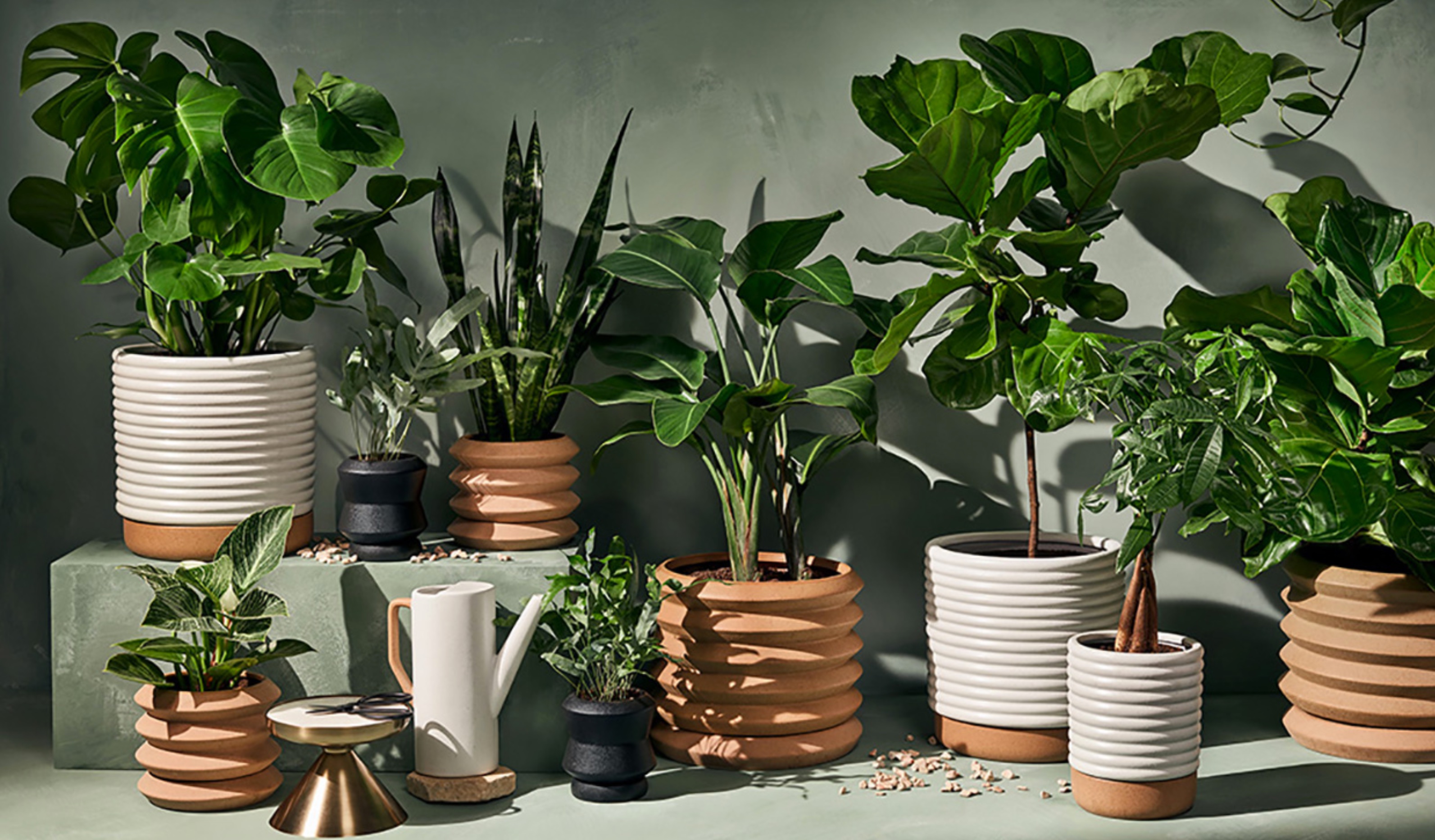 Plant lovers will love the Target x Hilton Carter collection - 9to5Toys